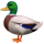 icon-duck